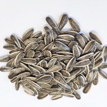 quality raw sunflower seeds Chinese for sale